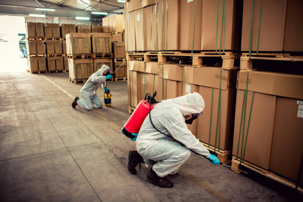 Best Pest Control for Businesses  in Mazon, IL
