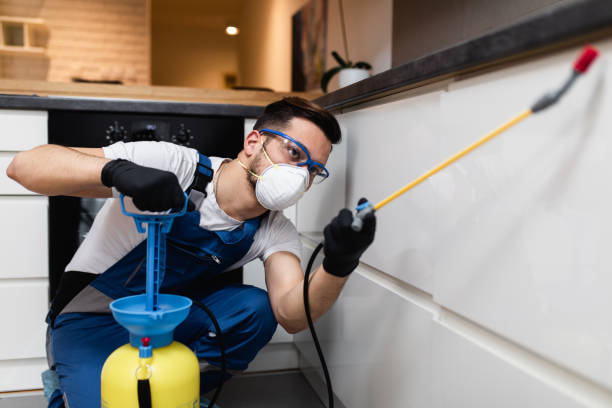 Best Termite Control Services  in Mazon, IL