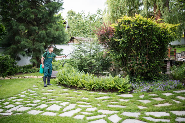 Best Pest Control Near Me  in Mazon, IL