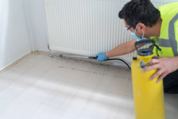Best Pest Removal Services  in Mazon, IL